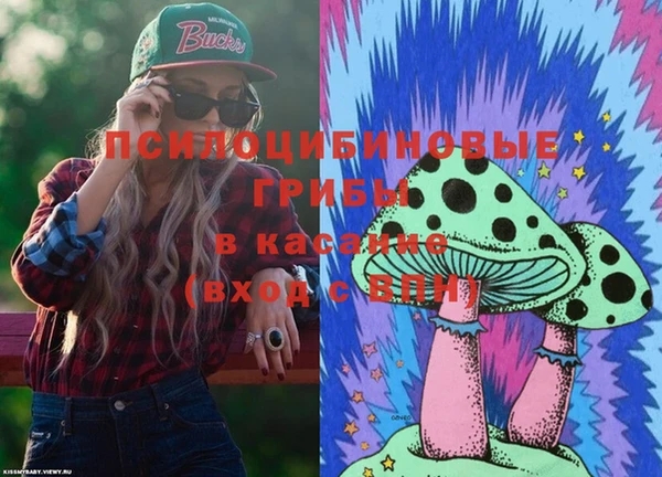соль ск Пестово