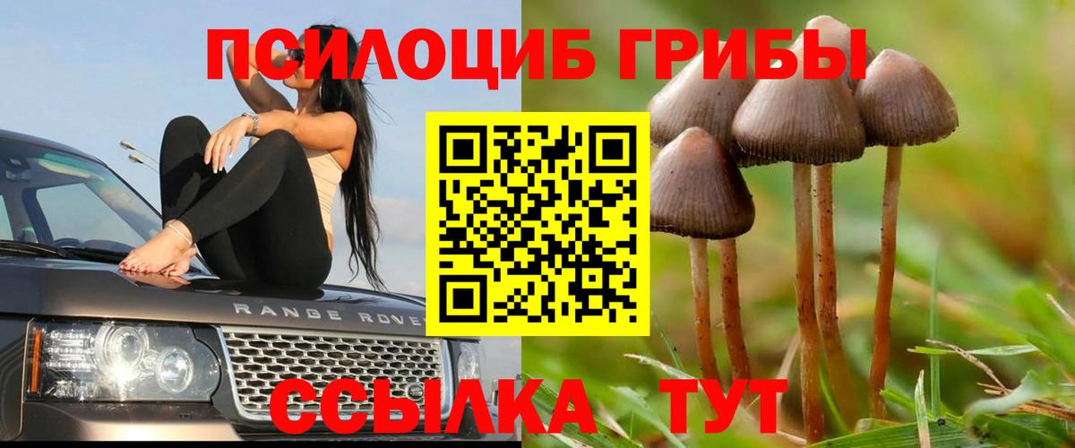 магазин  наркотиков  Вход с VPN  Уварово  Псилоцибиновые грибы мухоморы  Галлюциногенные грибы мухоморы 