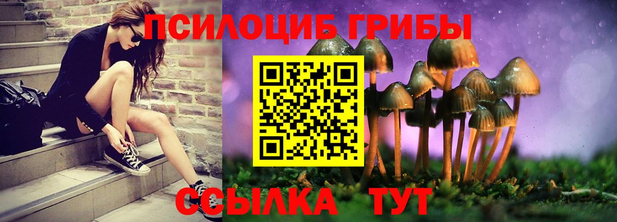 Галлюциногенные грибы прущие грибы Уварово